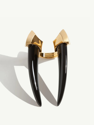Damian Black Onyx Horn Talisman Ring